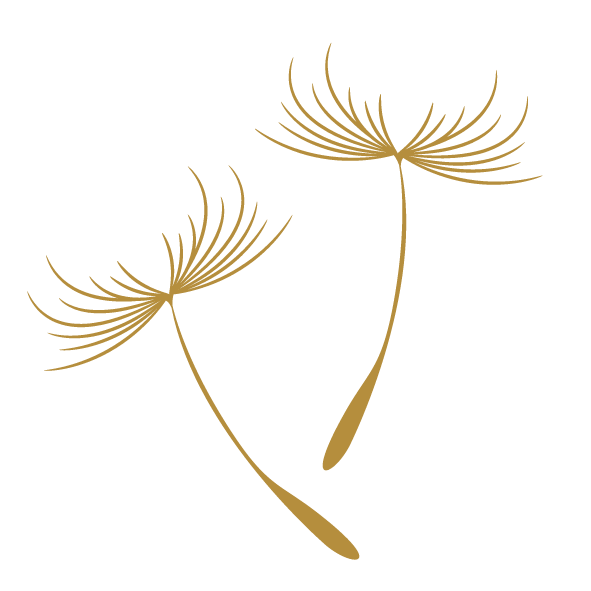 Schirmchen 2 gold